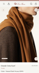 $5,030 Loro Pana Vicuna Peru Grande Unita Scarf Men